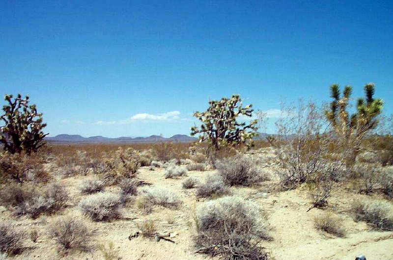 Random Desert Photos