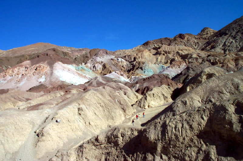 Diversity In Death Valley